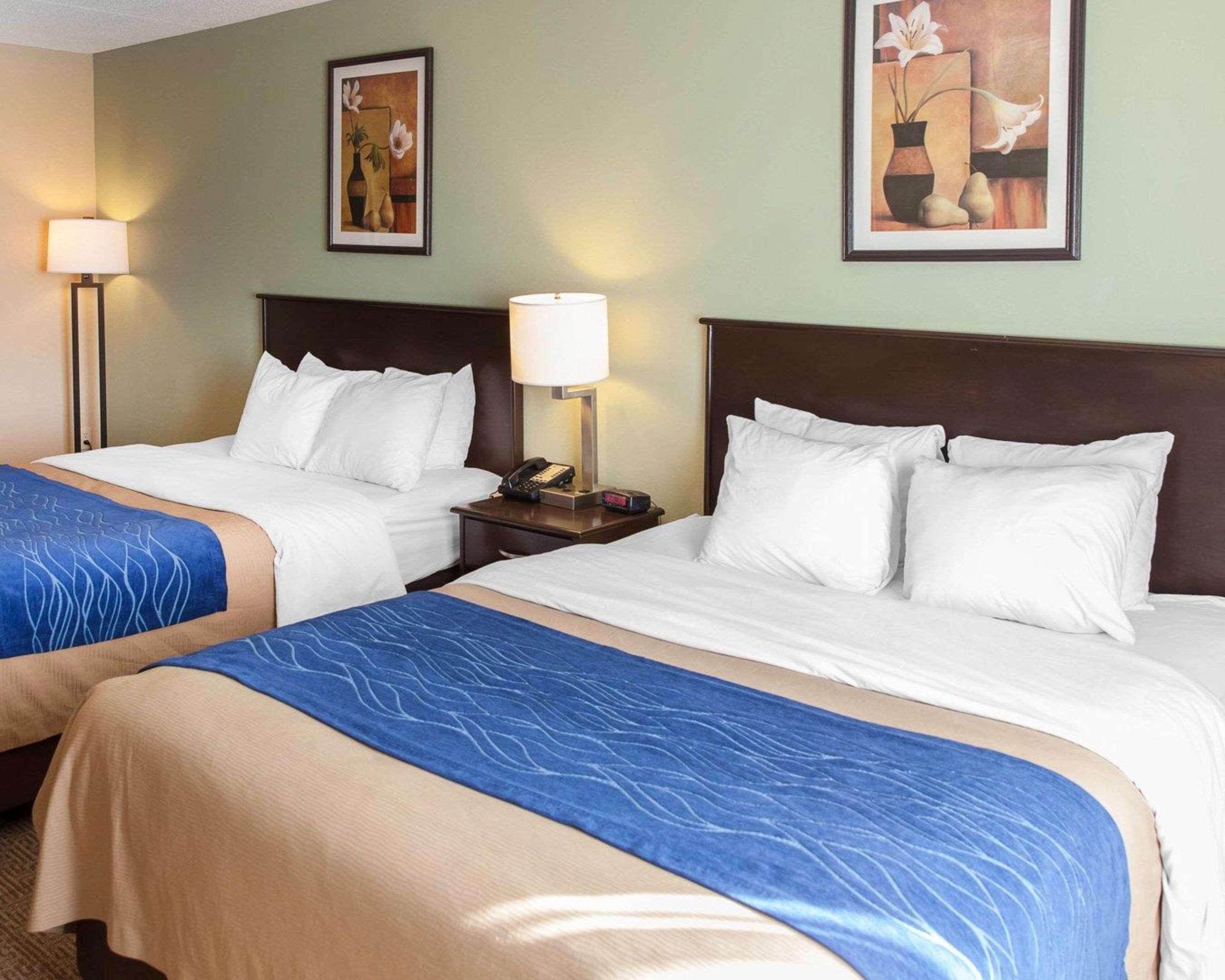 Comfort Inn Near Quantico Main Gate North Dumfries Esterno foto