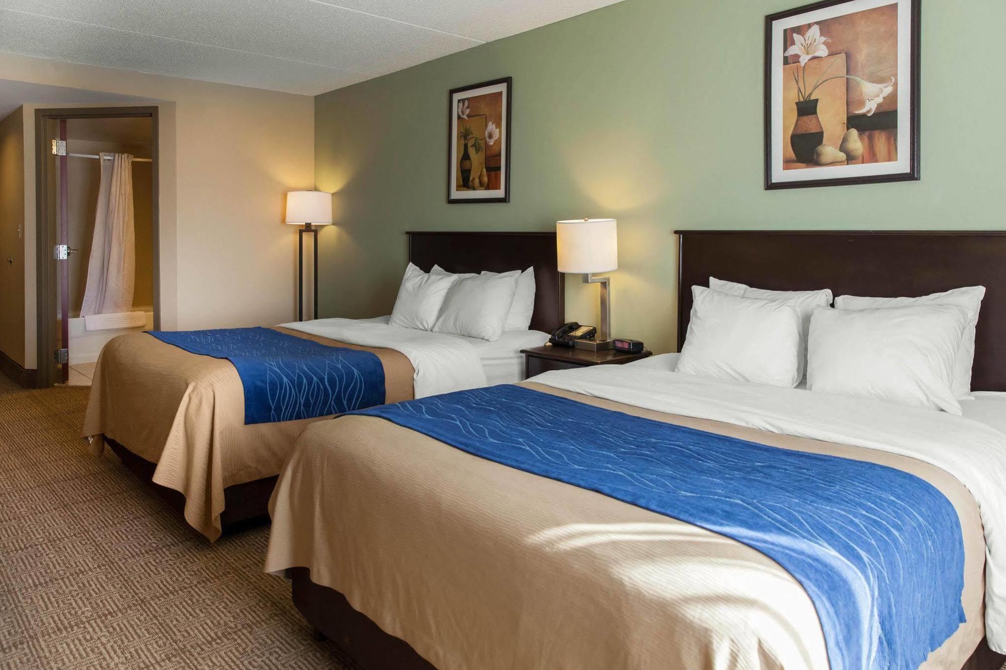 Comfort Inn Near Quantico Main Gate North Dumfries Esterno foto