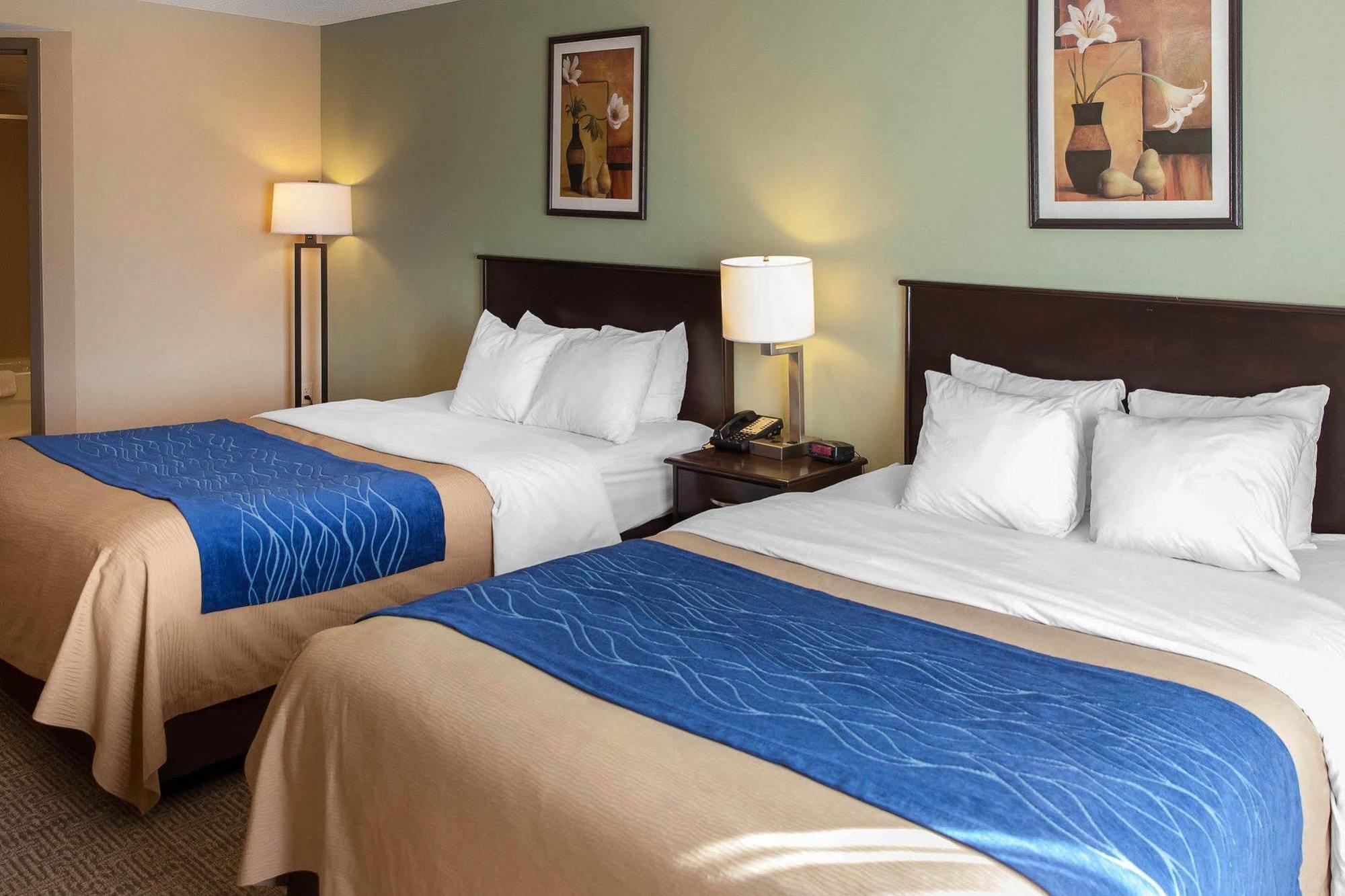 Comfort Inn Near Quantico Main Gate North Dumfries Esterno foto